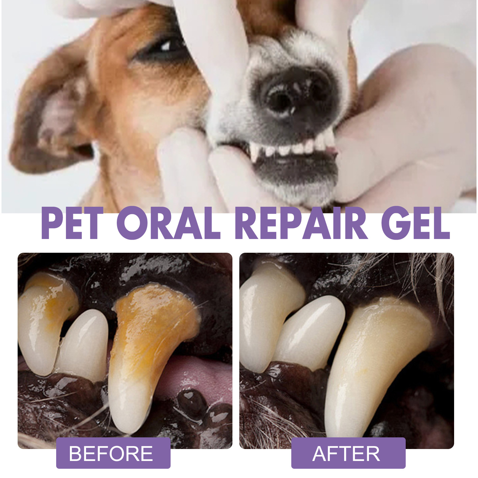 Gel de réparation orale pour a - Teeth Whitening Paste avis et prix